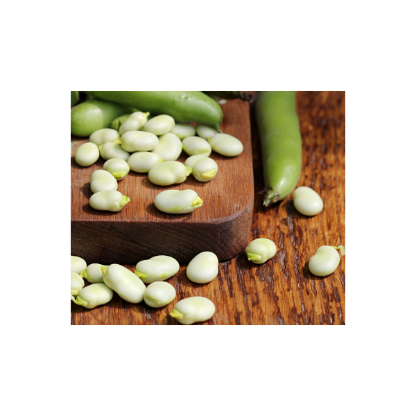 Barnyard beans White Windsor 100g