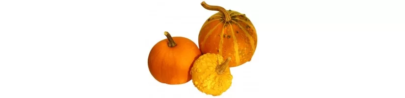 Pumpkins