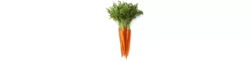 Carrots