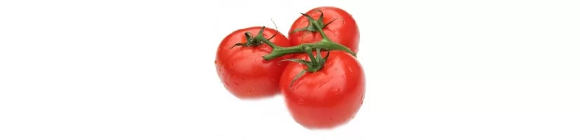 Tomato